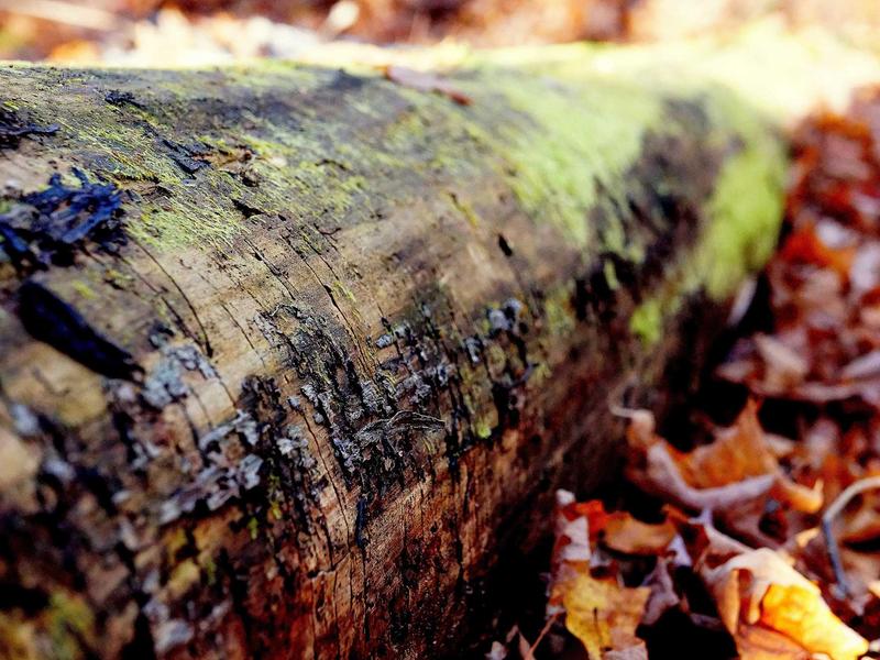 sudoku strategy guide